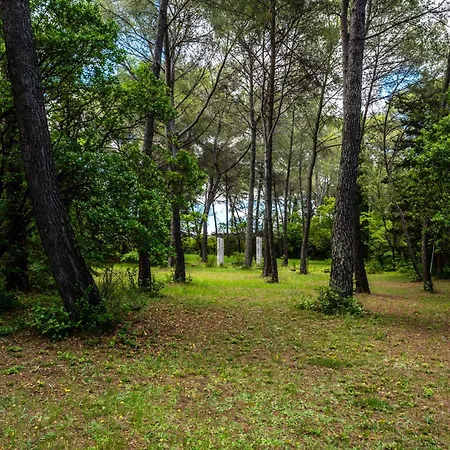 Vue Sur Parc Avec Petanque, Basket, Clim Et Tramway Vila Castelnau-le-Lez